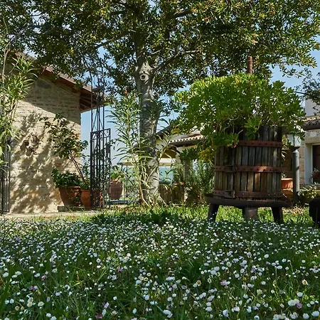 La Fattoria Di Maria Donata Lantgård Cugnoli