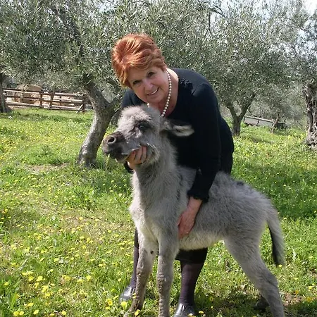 La Fattoria Di Maria Donata Lantgård Cugnoli