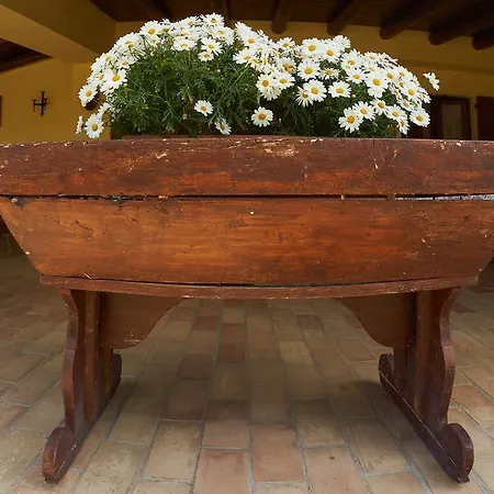 Lantgård La Fattoria Di Maria Donata Cugnoli